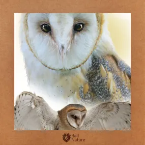 Barn Owl T-Shirt Women