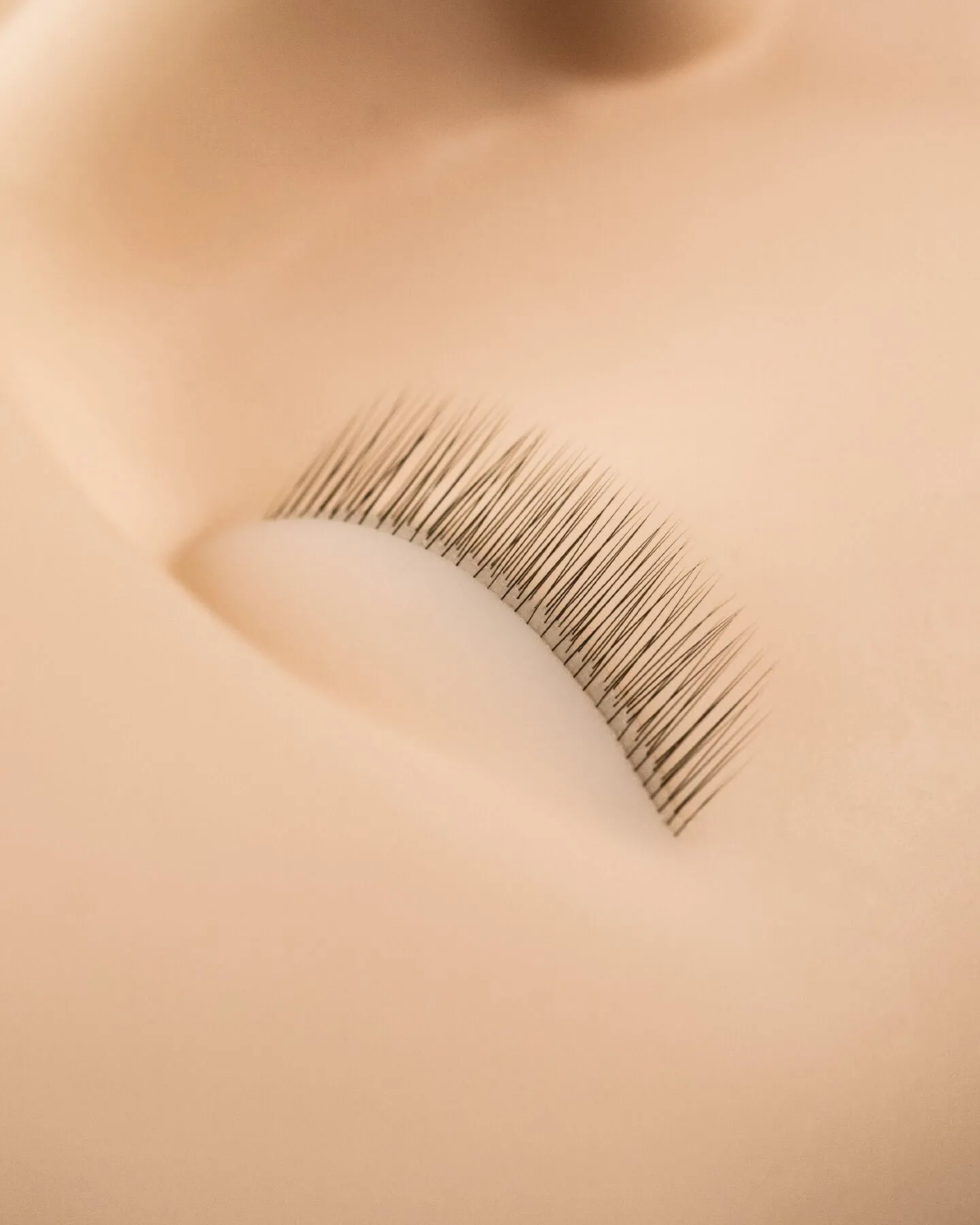 Mannequin Head With Lashes